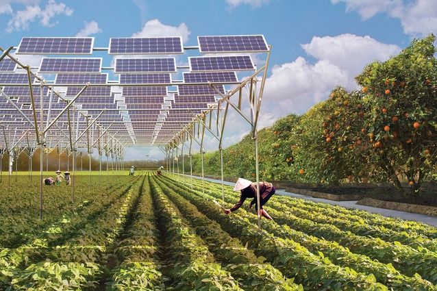 کشاورزی با انرژی خورشیدی